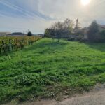 Maison à construire à Saint-Magne-de-Castillon (33350)