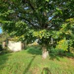 Terrain à bâtir à Saint-Magne-de-Castillon (33350)