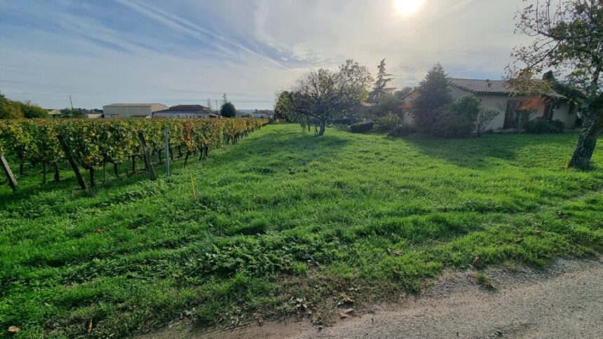Terrain à bâtir à Saint-Magne-de-Castillon (33350)