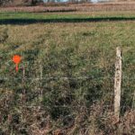 Terrain à bâtir à Peujard (33240)