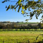 Terrain à bâtir à Villegouge (33141)