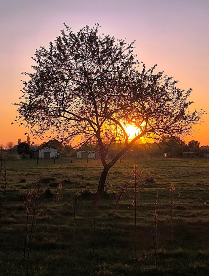 Terrain à bâtir à Sablons (33910)