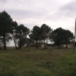 Maison à construire à Arsac (33460)