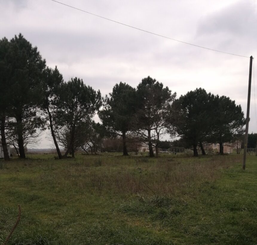 Terrain à bâtir à Arsac (33460)