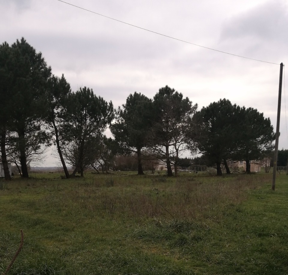 Terrain à bâtir à Arsac (33460)