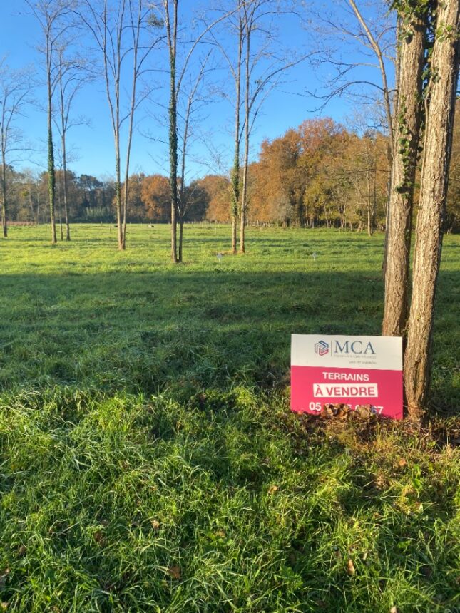 Terrain à bâtir à Vertheuil (33180)
