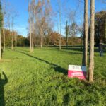 Maison à construire à Vertheuil (33180)