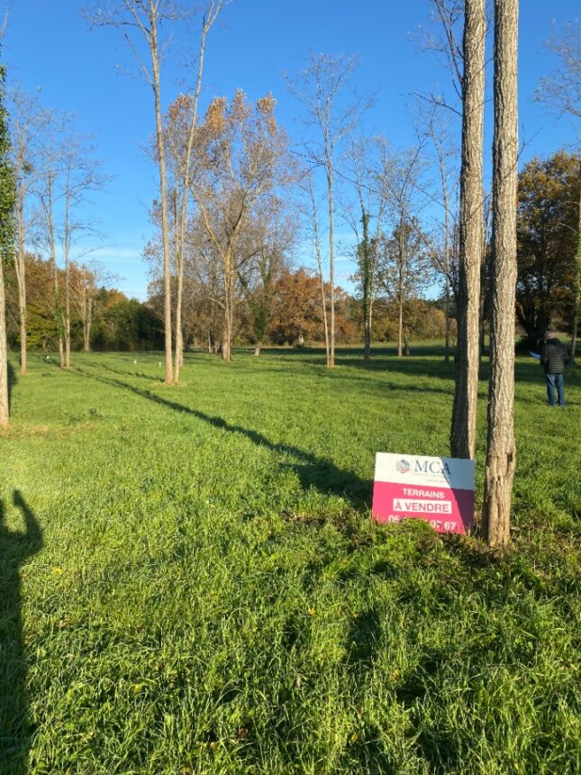 Terrain à bâtir à Vertheuil (33180)