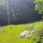 Maison à construire à Créon (33670)