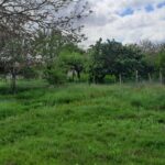 Maison à construire à Gujan-Mestras (33470)