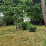 Maison à construire à Eysines (33320)