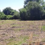 Maison à construire à Brach (33480)