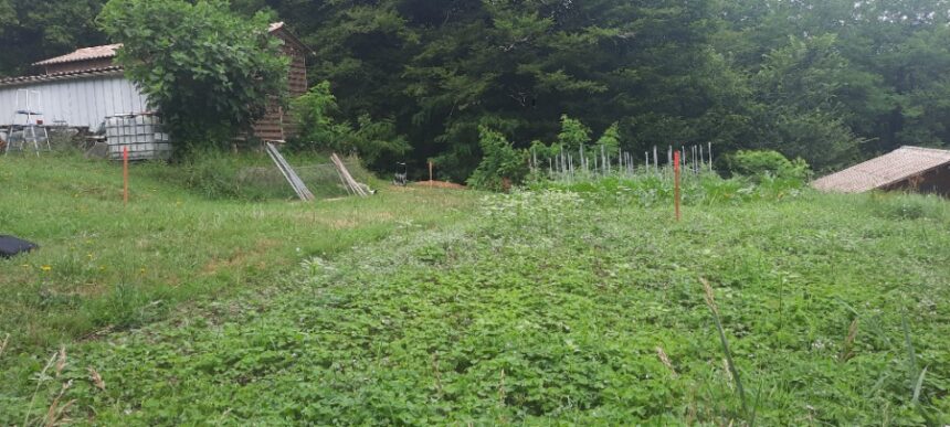 Terrain à bâtir à Créon (33670)