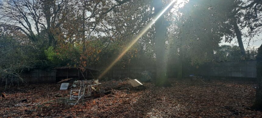 Maison à construire à Gujan-Mestras (33470)