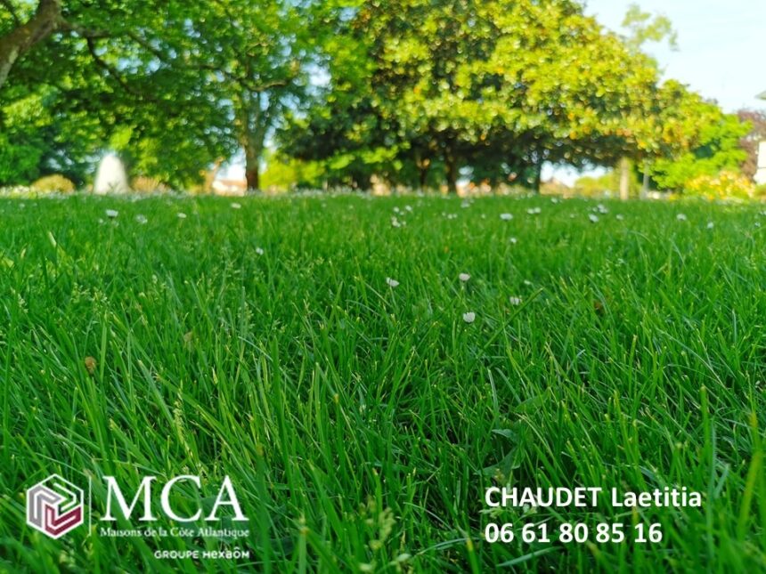 Terrain à bâtir à Audenge (33980)