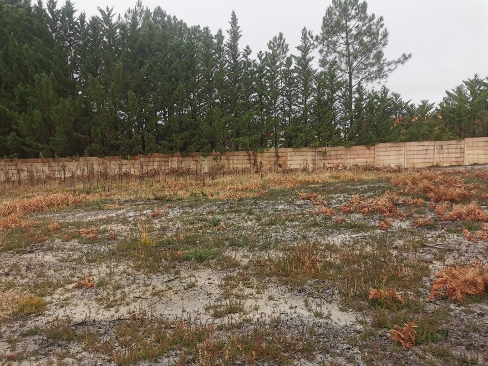 Terrain à bâtir à Biscarrosse (40600)