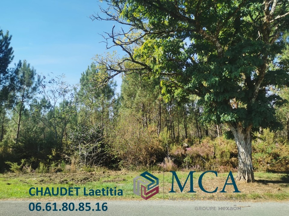 Terrain à bâtir à Hourtin (33990)