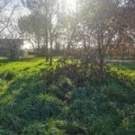 Maison à construire à Le Porge (33680)