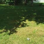 Maison à construire à Le Temple (33680)