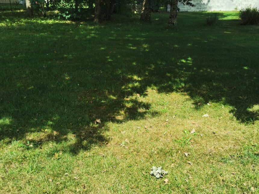 Maison à construire à Le Temple (33680)