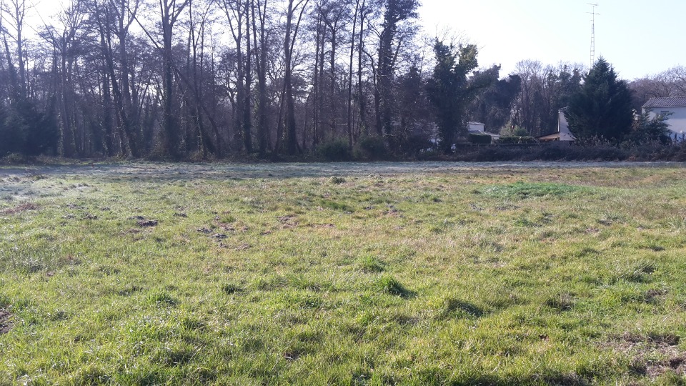 Terrain à bâtir à Sanguinet (40460)