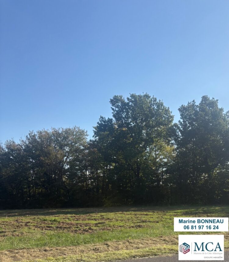 Terrain à bâtir à Cadarsac (33750)