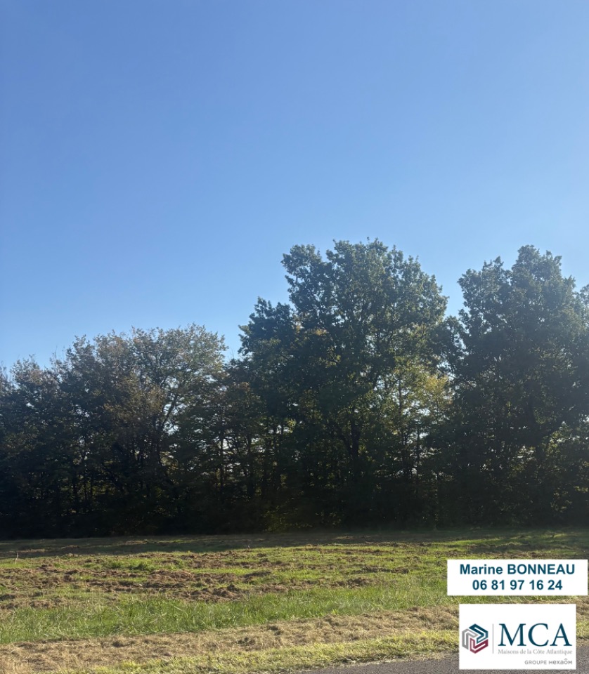 Terrain à bâtir à Cadarsac (33750)