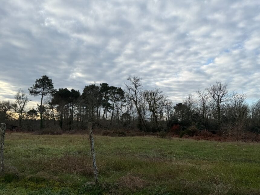 Terrain à bâtir à Balizac (33730)