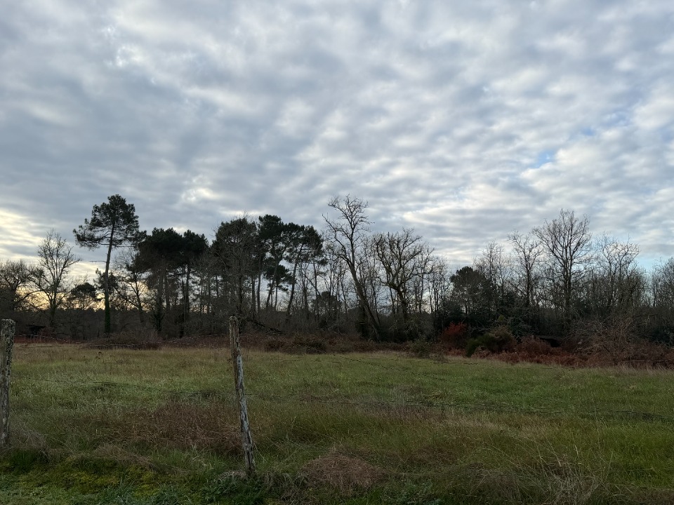Terrain à bâtir à Balizac (33730)