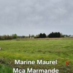 Terrain à bâtir à Le Temple-sur-Lot (47110)