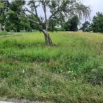 Maison à construire à Guillos (33720)