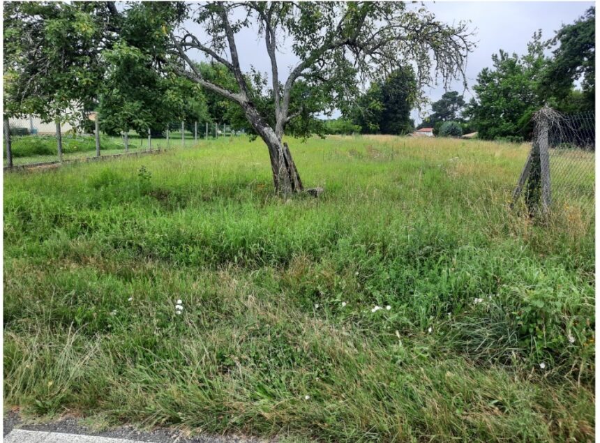 Maison à construire à Guillos (33720)