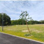 Maison à construire à Tosse (40230)