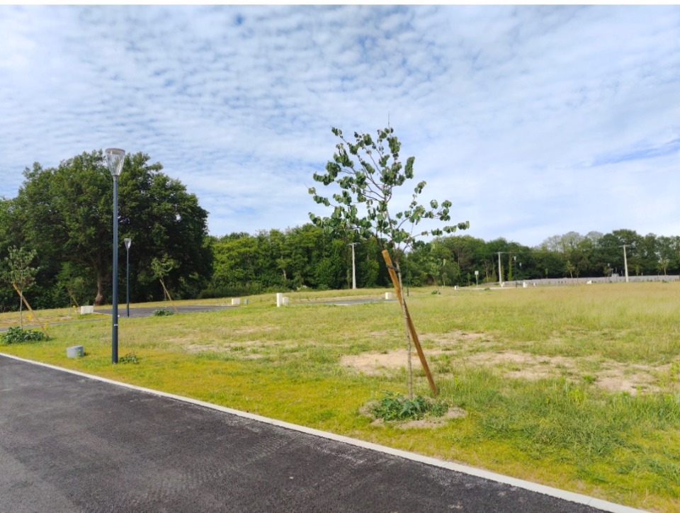 Terrain à bâtir à Tosse (40230)