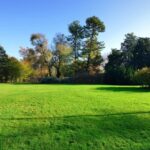 Maison à construire à Bonnetan (33370)