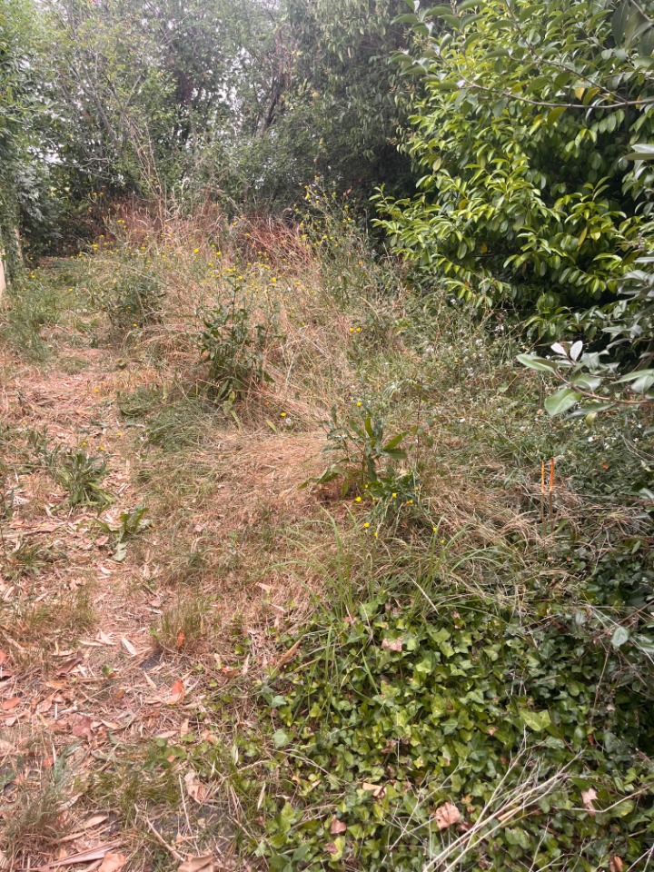 Terrain à bâtir à Loupiac (33410)