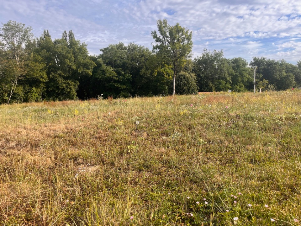 Terrain à bâtir à Frontenac (33760)