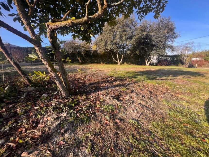 Maison à construire à Léognan (33850)