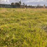 Maison à construire à Latresne (33360)