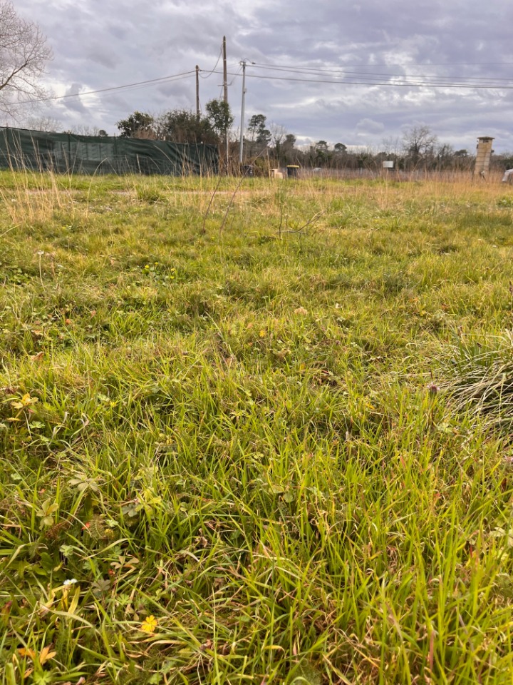 Terrain à bâtir à Latresne (33360)