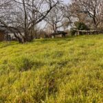 Maison à construire à Saint-Caprais-de-Bordeaux (33880)