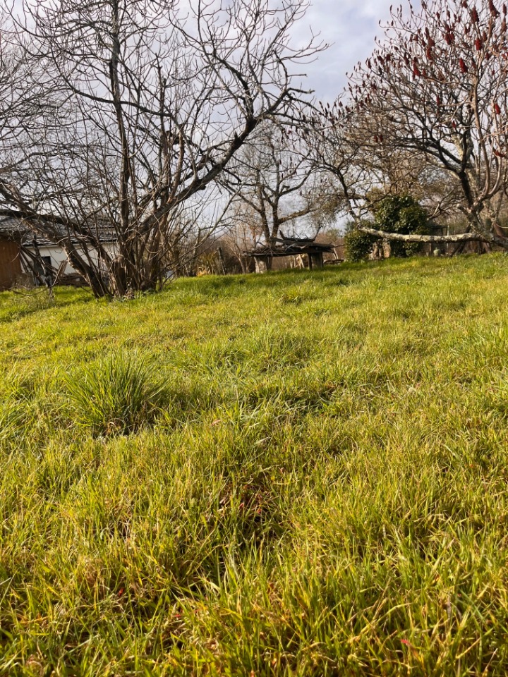 Terrain à bâtir à Saint-Caprais-de-Bordeaux (33880)