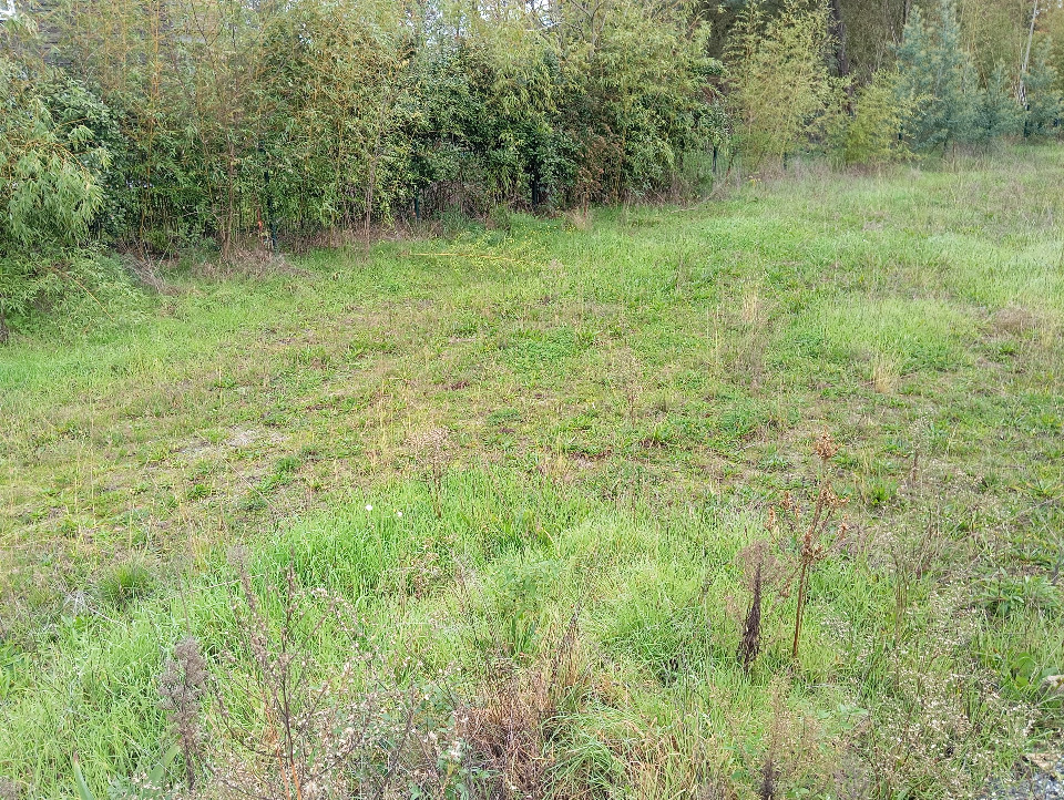 Terrain à bâtir à Audenge (33980)