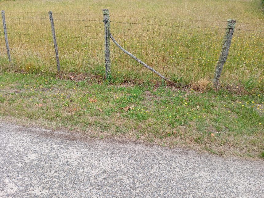 Terrain à bâtir à Sanguinet (40460)