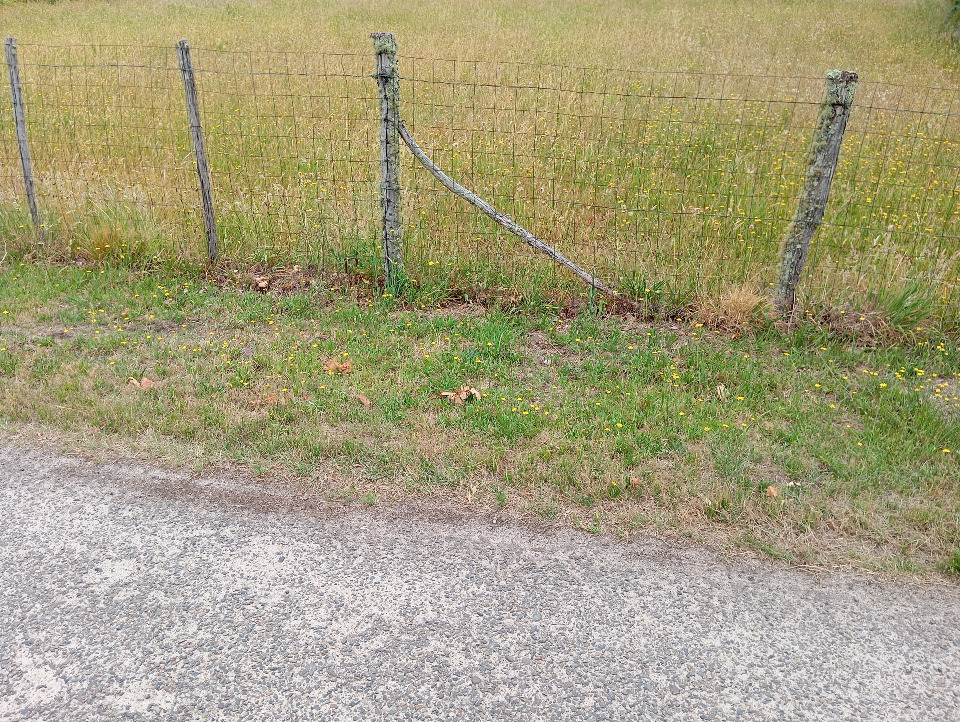 Terrain à bâtir à Sanguinet (40460)