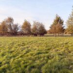 Terrain à bâtir à La Force (24130)