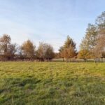 Maison à construire à La Force (24130)