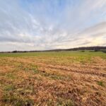 Terrain à bâtir à Mouleydier (24520)