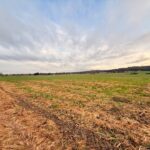 Terrain à bâtir à Mouleydier (24520)