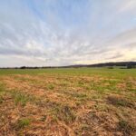 Terrain à bâtir à Mouleydier (24520)